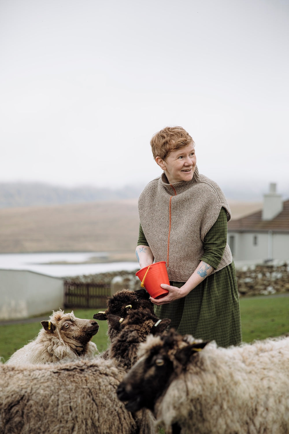 Shetland Shades: Stories In Wool